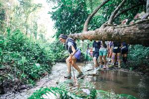 BIB: 
                            <button type="button" onclick="openModal(25466810)" class="btn btn-primary btn-sm float-right btn-popup" data-toggle="modal" data-target=".modal-high-quality">
                        <i class="fas fa-shopping-cart"></i> Add to Cart
                    </button>
                                            <button type="button" onclick="isThisMe(25466810, true)" class="btn btn-success btn-sm float-right btn-popup btn-isme hidden" data-toggle="tooltip" data-placement="bottom" title="นี่คือรูปของคุณใช่ไหม คลิกที่นี่เพื่อเอาเข้าอัลบั้ม">
                        <i class="fas fa-plus"></i> Add to album
                    </button>
                    <button type="button" onclick="isThisMe(25466810, false)" class="btn btn-warning btn-sm float-right btn-popup btn-isnotme hidden">
                        <i class="fas fa-ban"></i> Remove from album
                    </button>